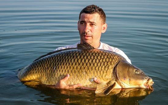 Jurnalul lui gor965: Pescuitul este sport sau hobby? Cum avem grija de crapi?